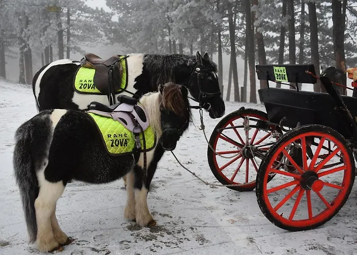 Appartement Lang & Zlatibor
